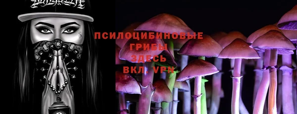 мдпв Михайловка