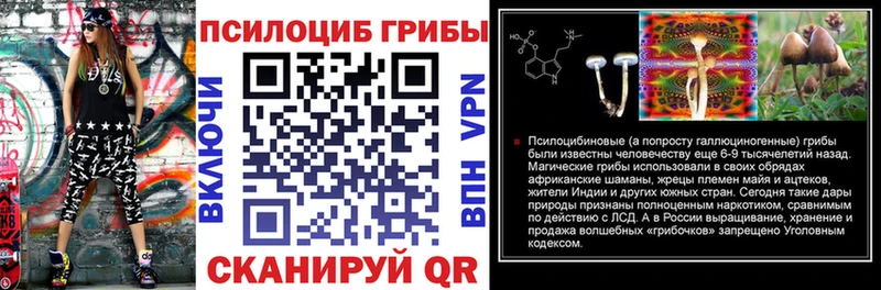ОМГ ОМГ ссылка  Копейск  Псилоцибиновые грибы MAGIC MUSHROOMS 