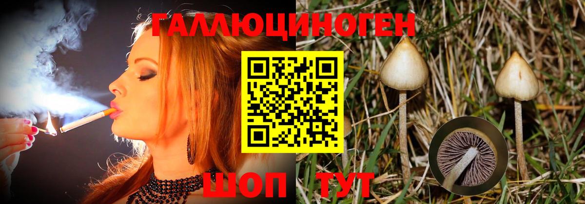 Псилоцибиновые грибы мухоморы Копейск