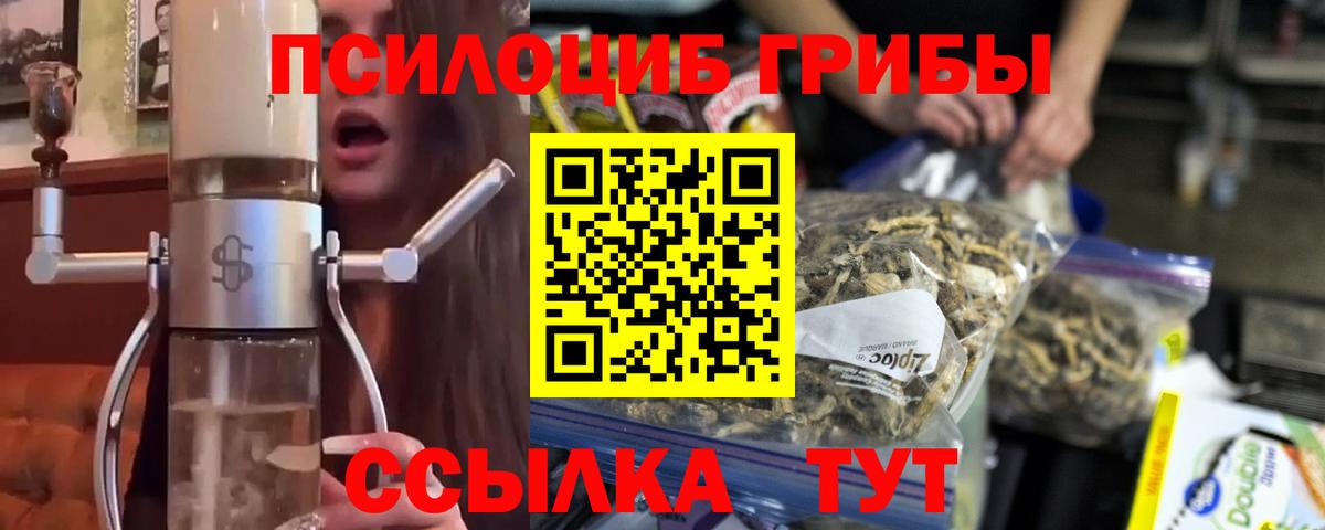 Псилоцибиновые грибы GOLDEN TEACHER Копейск
