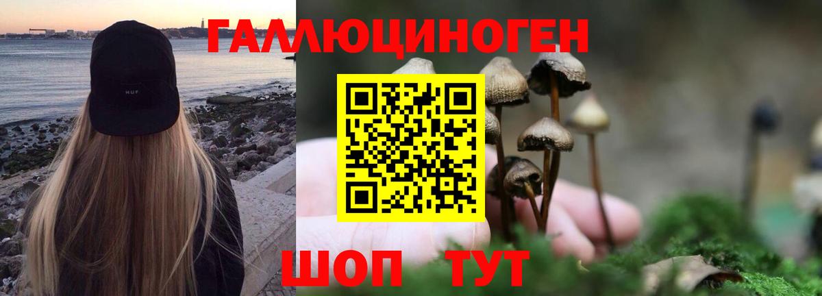 Псилоцибиновые грибы Magic Shrooms  Вход с VPN  Галлюциногенные грибы прущие грибы  Копейск 